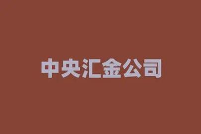 大a股:中央汇金爆买低价王者,未来有望超越"大众交通"
